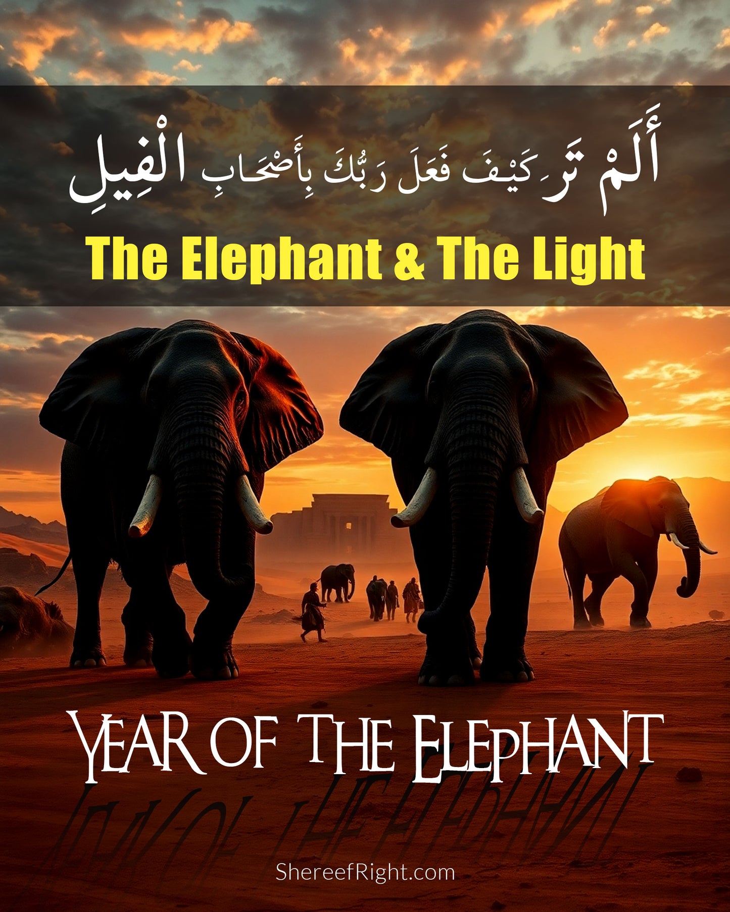 Year of the Elephant – The Elephant and The Light